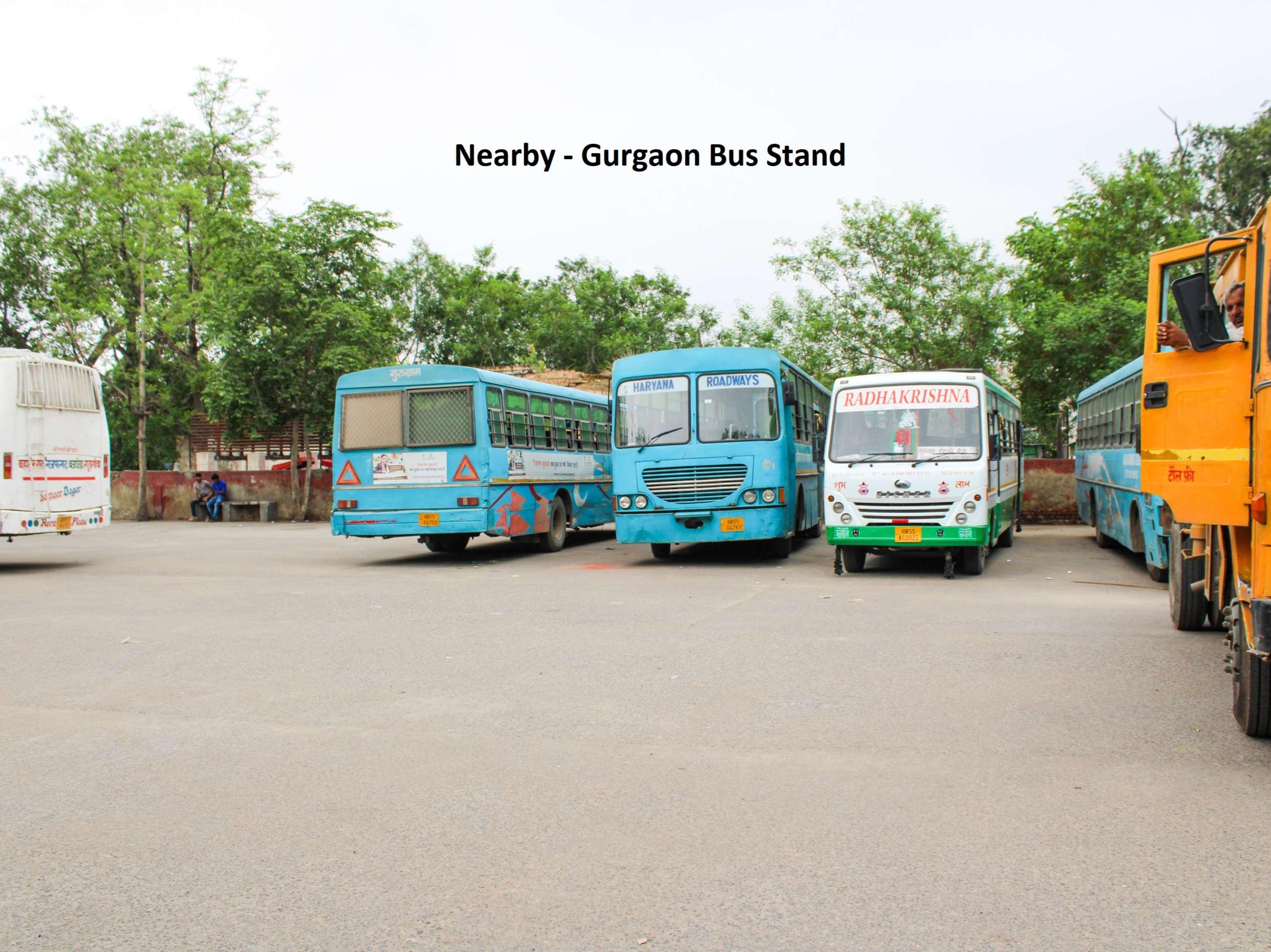 Collection O Townhouse 069 Hotel Gurgaon Bagian luar foto